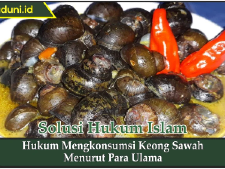 Hukum Mengkonsumsi Keong Sawah Menurut Para Ulama