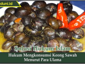 Hukum Mengkonsumsi Keong Sawah Menurut Para Ulama