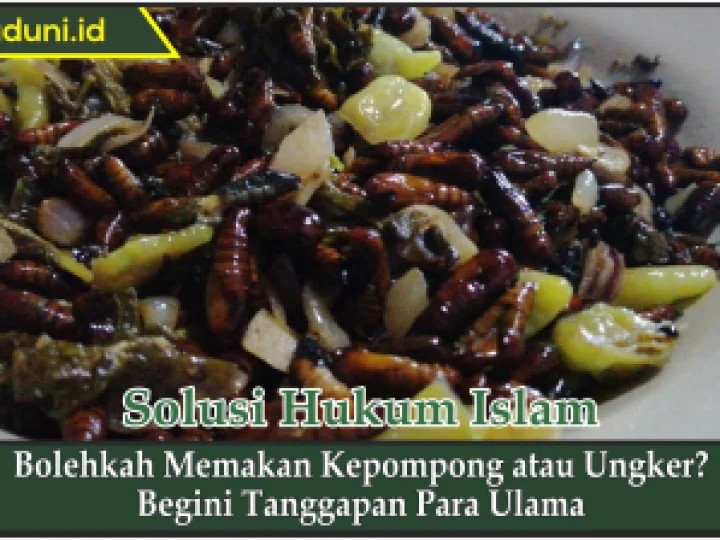 Bolehkah Memakan Kepompong atau Ungker?