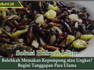 Bolehkah Memakan Kepompong atau Ungker?