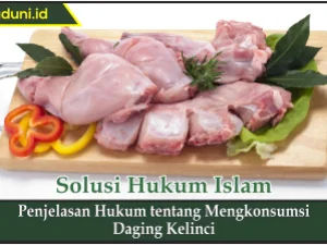 Penjelasan Hukum tentang Mengkonsumsi Daging Kelinci