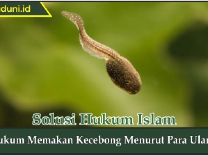 Hukum Memakan Kecebong Menurut Para Ulama