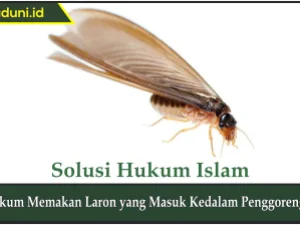 Hukum Memakan Laron yang Masuk ke Dalam Penggorengan