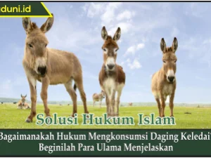 Bagaimanakah Hukum Mengkonsumsi Daging Keledai?