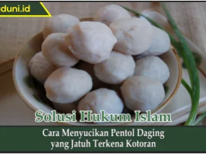 Cara Menyucikan Pentol Daging  yang Jatuh Terkena Kotoran