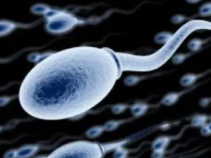 Wajibkah Mengulang Mandi Saat Terdapat Sperma dalam Kemaluan Perempuan?