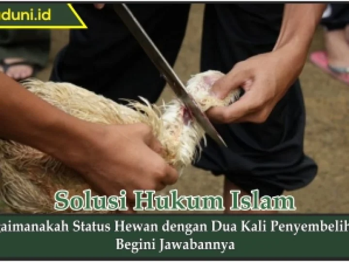 Bagaimanakah Status Hewan dengan Dua Kali Penyembelihan?