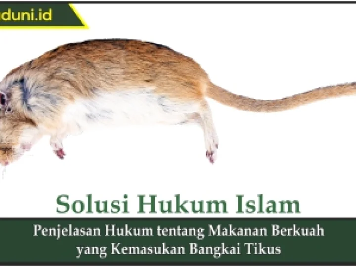 Penjelasan Hukum tentang Makanan Berkuah yang Kemasukan Bangkai Tikus