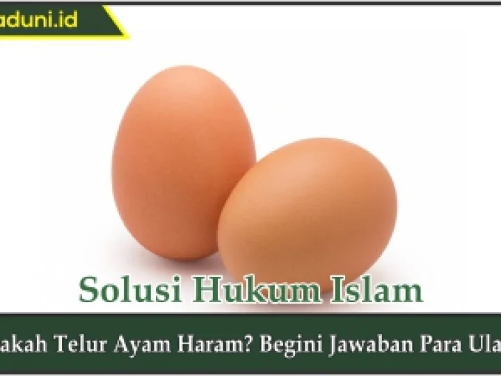 Apakah Telur Ayam Haram?