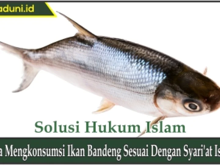 Cara Mengkonsumsi Ikan Bandeng Sesuai dengan Syari'at Islam