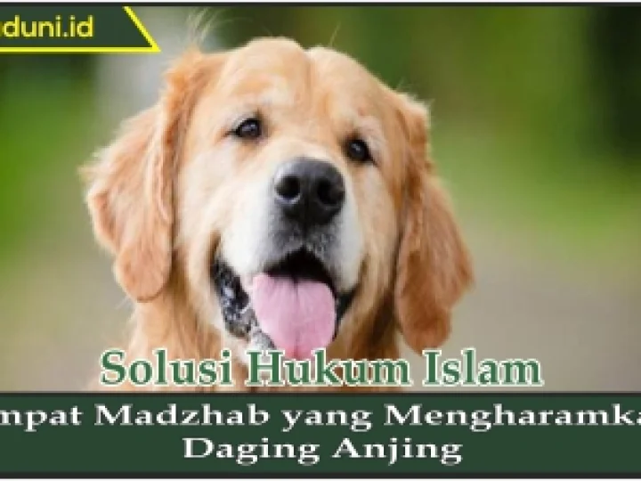 Empat Madzhab yang Mengharamkan Daging Anjing