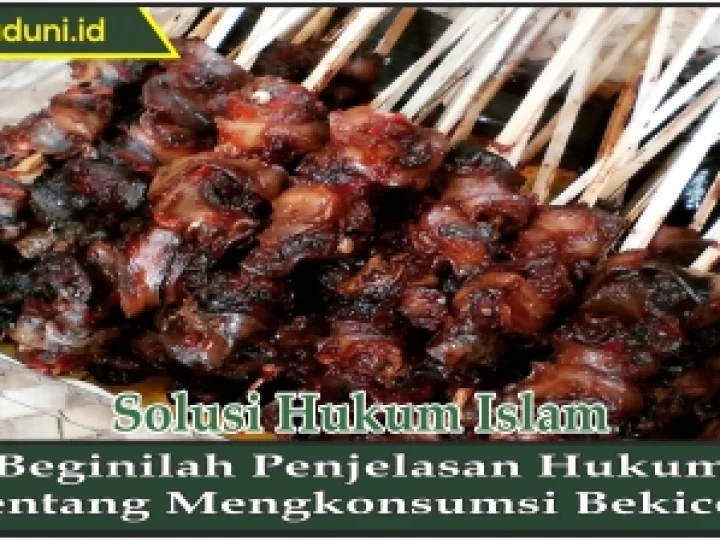 Beginilah Penjelasan Hukum tentang Mengkonsumsi Bekicot