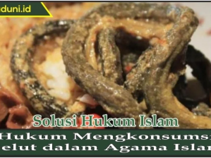 Hukum Mengkonsumsi Belut dalam Agama Islam