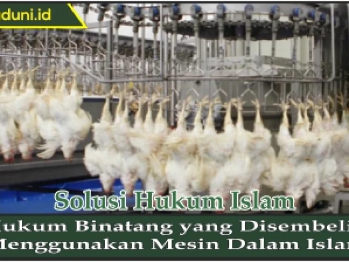 Hukum Binatang yang Disembelih Menggunakan Mesin dalam Islam