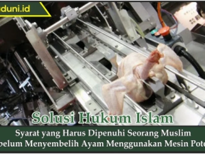 Syarat yang Harus Dipenuhi Seorang Muslim Sebelum Menyembelih Ayam Menggunakan Mesin Potong