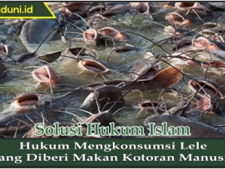 Hukum Mengkonsumsi Lele yang Diberi Makan Kotoran Manusia