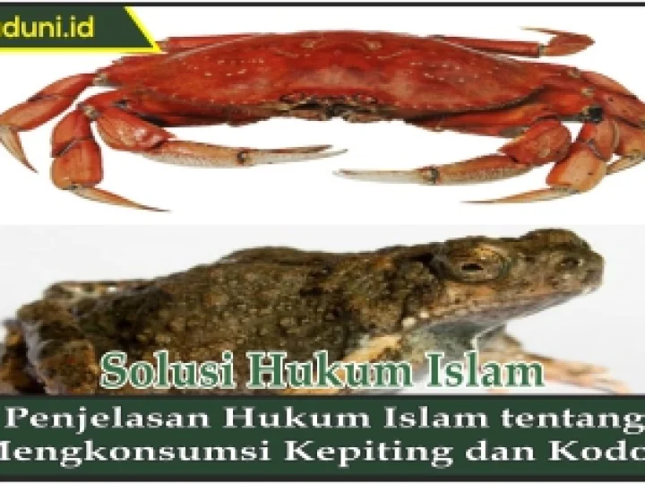 Penjelasan Hukum Islam tentang Mengkonsumsi Kepiting dan Kodok