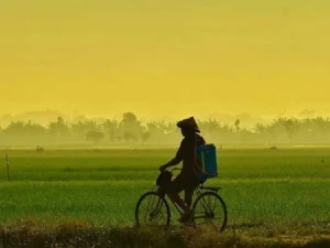 Tidak Ada Dalam Kamus Apa pun 