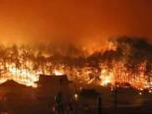 Korsel Umumkan Darurat Nasional Karena Kebakaran Hutan yang Dahsyat