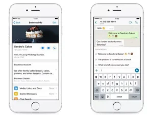 WhatsApp Business Resmi Hadir untuk iOS di Indonesia