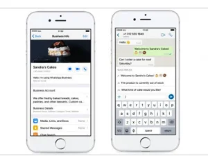 WhatsApp Business Diluncurkan Secara Global