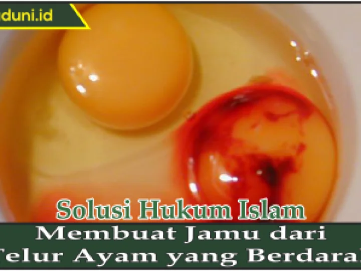 Membuat Jamu dari Telur Ayam yang Berdarah
