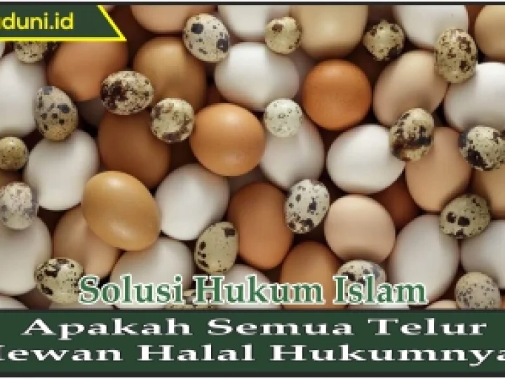 Apakah Semua Telur Hewan Halal Hukumnya?