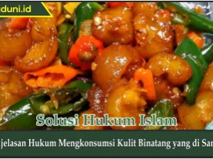Penjelasan Hukum Mengkonsumsi Kulit Binatang yang Disamak