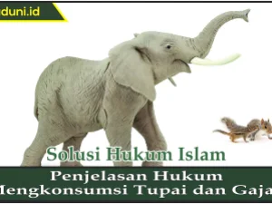 Penjelasan Hukum Mengkonsumsi Tupai dan Gajah