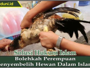Bolehkah Perempuan Menyembelih Hewan dalam Islam?