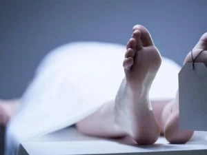 Sebanyak 4 WNI Tewas dalam Peristiwa Kecelakaan Bus Karyawan di Malaysia