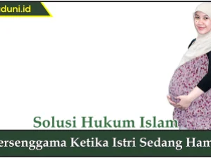 Bersenggama Ketika Istri Sedang Hamil