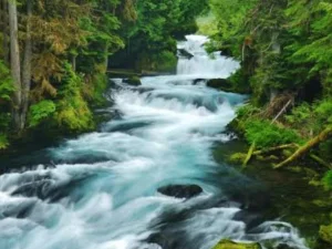 Letak Sungai Surga di Dunia