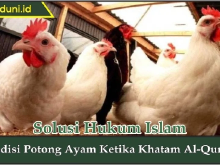 Tradisi Potong Ayam Ketika Khatam Al Qur'an