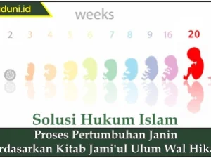 Proses Pertumbuhan Janin Berdasarkan Kitab Jami'ul Ulum Wal Hikam