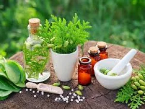 Herbal Asli Indonesia yang Berkhasiat untuk Kesehatan