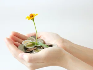 Tips Ampuh Menghemat Keuangan anda di Zaman yang Serba Mahal