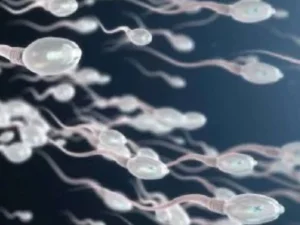 Awas, Sinyal WiFi Sebabkan Sperma Mati