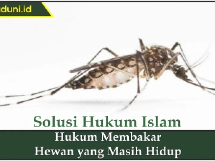 Hukum Membakar Hewan yang Masih Hidup