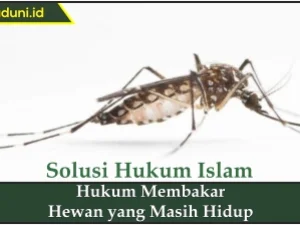 Hukum Membakar Hewan yang Masih Hidup