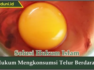 Hukum Mengkonsumsi Telur Berdarah