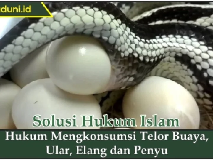 Hukum Mengkonsumsi Telor Buaya, Ular, Elang, dan Penyu