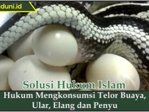 Hukum Mengkonsumsi Telor Buaya, Ular, Elang, dan Penyu