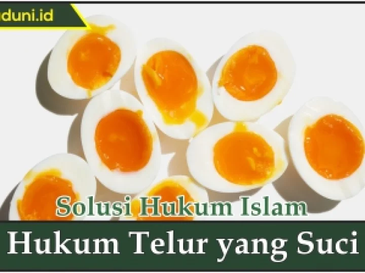 Hukum Telur yang Suci