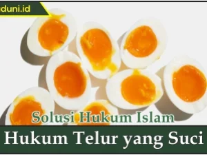 Hukum Telur yang Suci