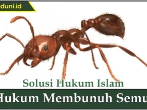 Hukum Membunuh Semut