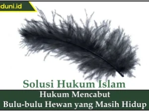 Hukum Mencabut Bulu-bulu Hewan yang Masih Hidup