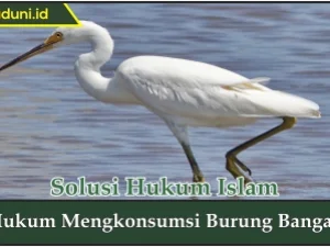 Hukum Mengkonsumsi Burung Bangau
