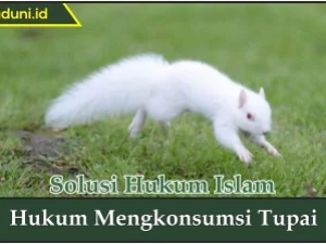 Hukum Mengkonsumsi Tupai