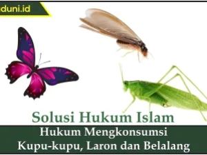 Hukum Mengkonsumsi Kupu-kupu, Laron dan Belalang